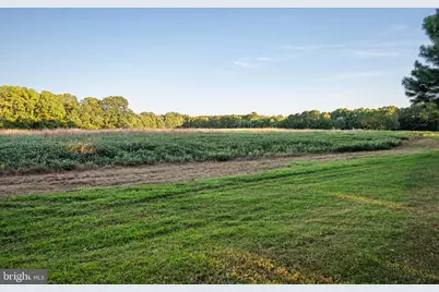 24390 Deep Neck Farm Lane, Royal Oak, MD 21662 - Photo 106