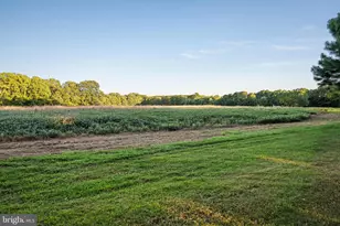 24390 Deep Neck Farm Ln, Royal Oak, MD 21662 - Photo 106