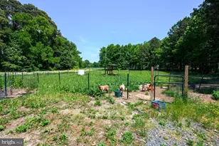 25610 Chance Farm Ct, Royal Oak, MD 21662 - Photo 48