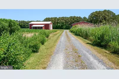 7543 Bozman Neavitt Road, Bozman, MD 21612 - Photo 84