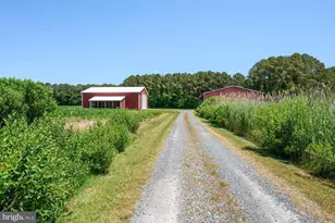7543 Bozman Neavitt Rd, Bozman, MD 21612 - Photo 84