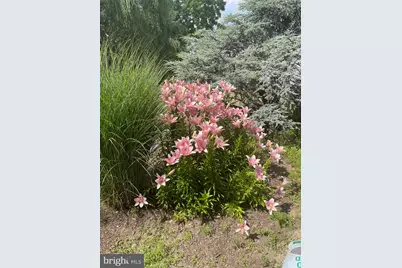 31720 Ayres Drive, Trappe, MD 21673 - Photo 112