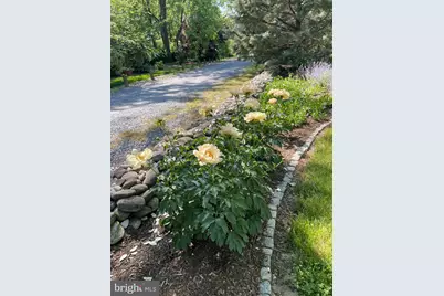 31720 Ayres Drive, Trappe, MD 21673 - Photo 102