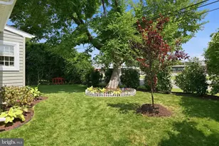 803 New Ln, Saint Michaels, MD 21663 - Photo 4