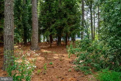 6028 Millington Lane, Easton, MD 21601 - Photo 4