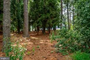 6028 Millington Ln, Easton, MD 21601 - Photo 4