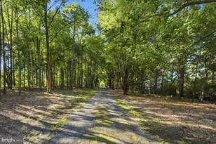8410 Bozman Neavitt Rd, Bozman, MD 21612 - Photo 26