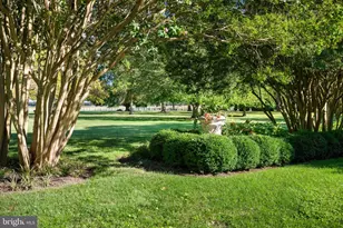 26546 Presquile Farm Dr, Easton, MD 21601 - Photo 90