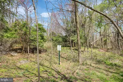 11117 Shalom Lane, Hagerstown, MD 21742 - Photo 58