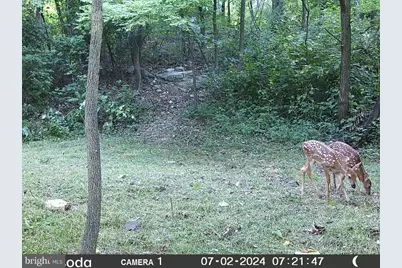 11430 National Pike, Clear Spring, MD 21722 - Photo 6