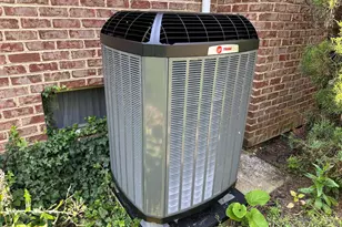 10744 Apple Tree Ln, Williamsport, MD 21795 - Photo 28