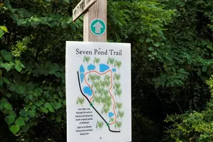 14122 Mercersburg Rd, Clear Spring, MD 21722 - Photo 124