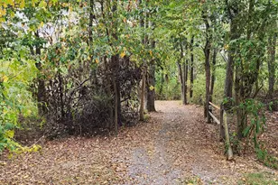 14847 White Oak Ridge, Hancock, MD 21750 - Photo 60