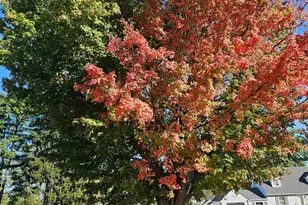 17507 Gay St, Hagerstown, MD 21740 - Photo 14