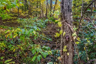 8907 Crystal Falls Dr, Boonsboro, MD 21713 - Photo 32