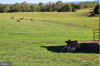 14637 Bain Road, Hancock, MD 21750 - Photo 60