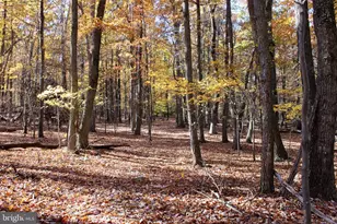 5103 Red Hill Rd, Keedysville, MD 21756 - Photo 16