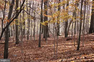 5103 Red Hill Rd, Keedysville, MD 21756 - Photo 58