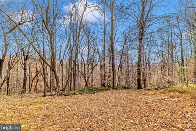 1509 Brown Road, Knoxville, MD 21758 - Photo 50