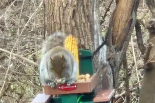 18757 Mesa Terrace, Hagerstown, MD 21742 - Photo 40