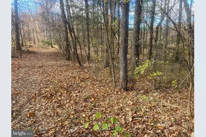 4.44+/- Acres Crystal Falls Drive, Hagerstown, MD 21740 - Photo 22