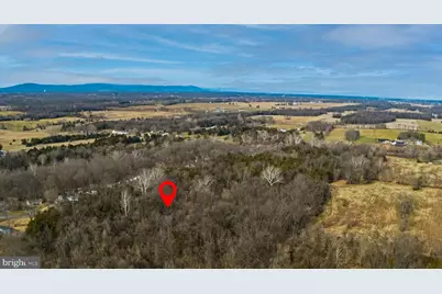 8103 Avis Mill Road, Williamsport, MD 21795 - Photo 12