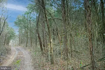 8045 Avis Mill Road, Williamsport, MD 21795 - Photo 16
