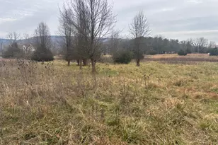 9529 Childacrest Dr, Boonsboro, MD 21713 - Photo 2