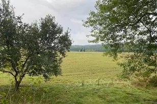 11034 Big Pool Rd, Big Pool, MD 21711 - Photo 2