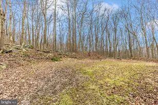 24607 Hells Delight Rd, Smithsburg, MD 21783 - Photo 46