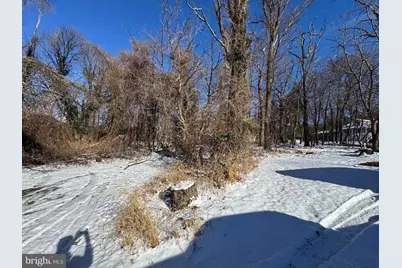 Tract 2: 0.42+/- Acres Oak Ave, Cascade, MD 21719 - Photo 4