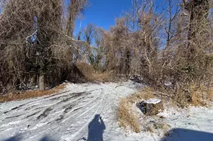 Tract 2: 0 42+/- Acres Oak Ave, Cascade, MD 21719 - Photo 1