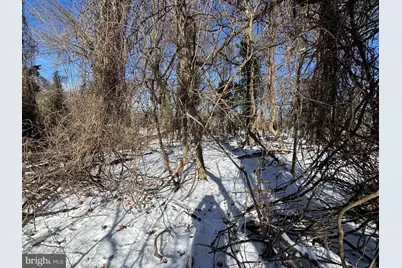 Tract 2: 0.42+/- Acres Oak Ave, Cascade, MD 21719 - Photo 2