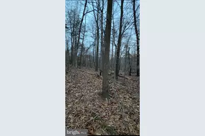 Lot 2, Parcel 240 Harpers Ferry Road, Knoxville, MD 21758 - Photo 4