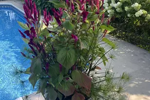 7825 Dam Number 4 Rd, Williamsport, MD 21795 - Photo 16