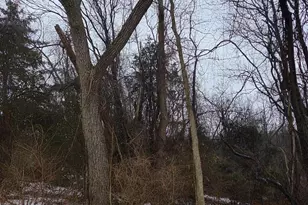 Mountain Laurel Rd, Boonsboro, MD 21713 - Photo 1