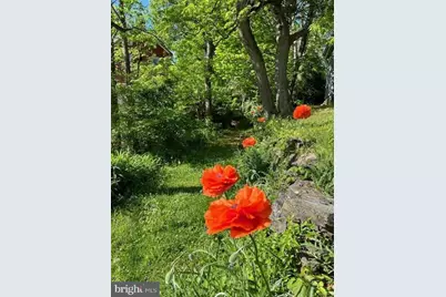 4312 Main Street, Rohrersville, MD 21779 - Photo 6