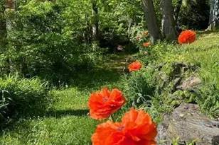 4312 Main St, Rohrersville, MD 21779 - Photo 6