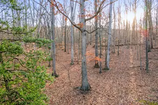 12333 Mummert Rd, Clear Spring, MD 21722 - Photo 4