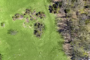 8031 Sharpsburg Pike, Fairplay, MD 21733 - Photo 84