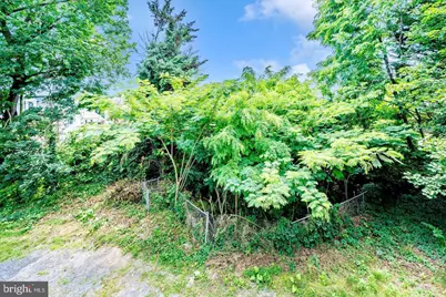 524 Virginia Avenue(2-Unit) & Adjacent Lot, Hagerstown, MD 21740 - Photo 60