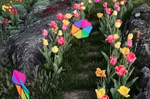 17035 Virginia Ave, Williamsport, MD 21795 - Photo 8