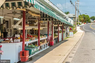 207 Tiger Way, Boonsboro, MD 21713 - Photo 54