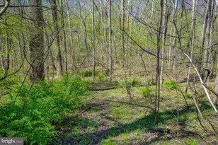 4304 Sharmans Run, Sharpsburg, MD 21782 - Photo 58