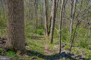 4304 Sharmans Run, Sharpsburg, MD 21782 - Photo 56