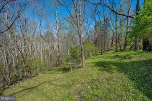 4304 Sharmans Run, Sharpsburg, MD 21782 - Photo 50