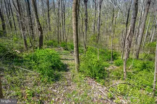 4304 Sharmans Run, Sharpsburg, MD 21782 - Photo 54