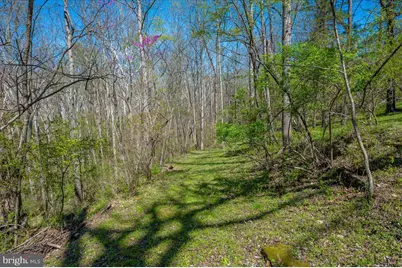 4304 Sharmans Run, Sharpsburg, MD 21782 - Photo 56