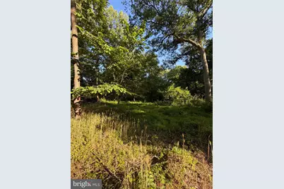 16621 Lappans Road, Williamsport, MD 21795 - Photo 82