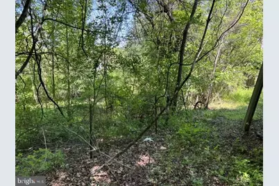21410 Swope Road, Boonsboro, MD 21713 - Photo 4
